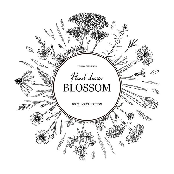 手描き夏の野生の花のフレーム スケッチスタイルのベクトルイラスト — ストックベクタ