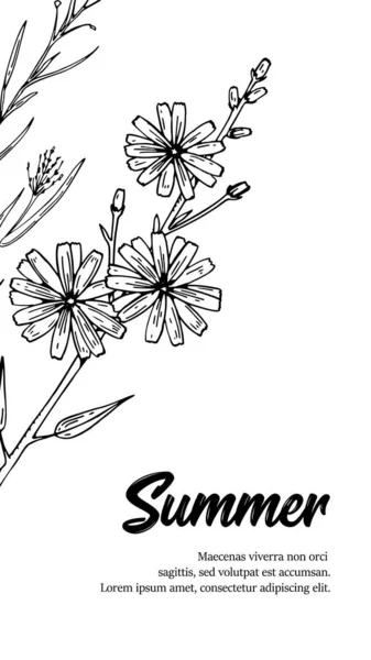 Vertical Summer Handgezeichnetes Design Mit Chicory Vorlage Für Geschichten Den — Stockvektor