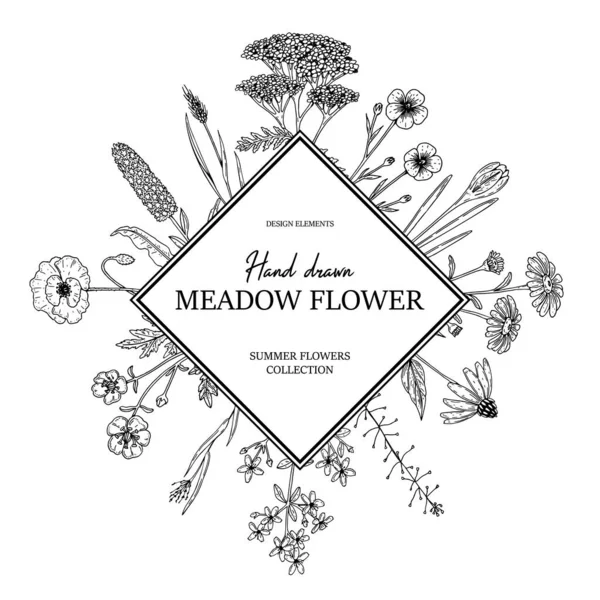 Quadro Quadrado Flores Selvagens Verão Desenhado Mão Ilustração Vetorial Stile —  Vetores de Stock