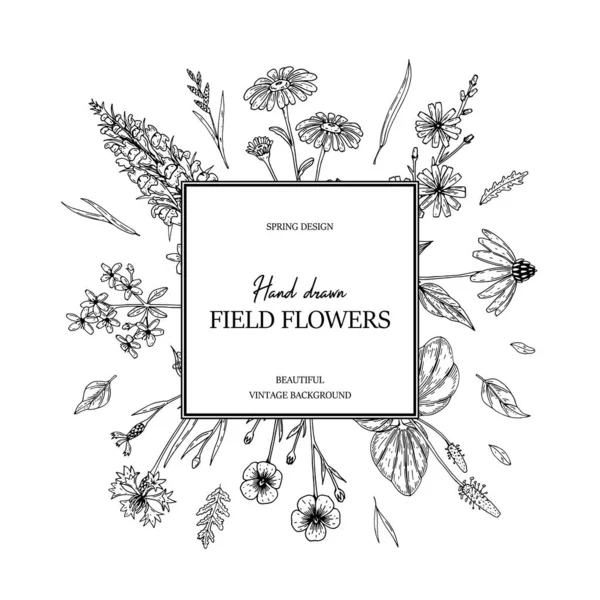 手描き夏の野生の花の正方形のフレーム スケッチスタイルのベクトルイラスト — ストックベクタ