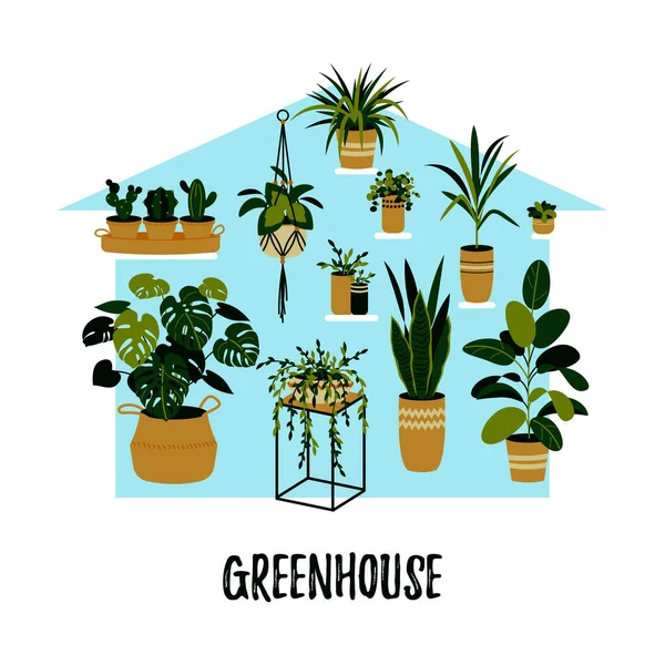 温室で成長している鉢植え ホームガーデンのコンセプト 平面図のベクトル図 — ストックベクタ