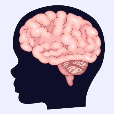 Image of the brain and silhouette of a human profile. Childrens brain and fantasy. ASMR triggers. clipart
