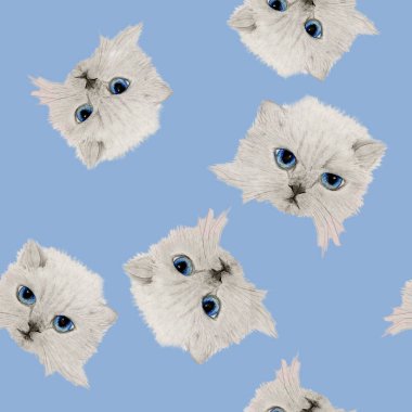 Yavru kedilerin ağızlık desenleri.