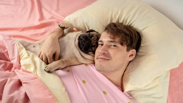 Handsome man lying with pug at bed. Young man in a bed under a rug with his dog in an embrace. Handsome young hipster with his pug resting on bed at home