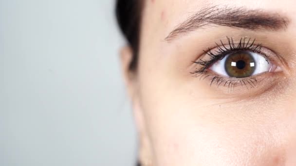 Macro image of human eye with contact lens. Les femmes voient les choses de près. Œil humain avec longs cils et mascara. Cosmétiques et maquillage. — Video