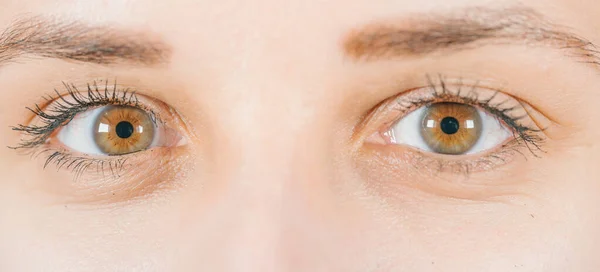Makroaufnahme des menschlichen Auges mit Kontaktlinse. Frauenaugen aus nächster Nähe. Menschliches Auge mit langen Wimpern mit Wimperntusche. Kosmetik und Make-up. — Stockfoto