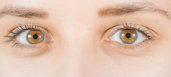 Imagen macro del ojo humano con lente de contacto. Ojo de mujer de cerca. Ojo humano con pestañas largas con rímel. Cosméticos y maquillaje. —  Fotos de Stock