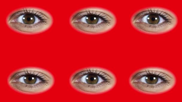 Viele Augen. zwei Arten von weiblichen Augen. Hintergrund der Augen. Augen öffnen sich und blinzeln. die niedlichen Augen auf rotem Hintergrund. — Stockvideo