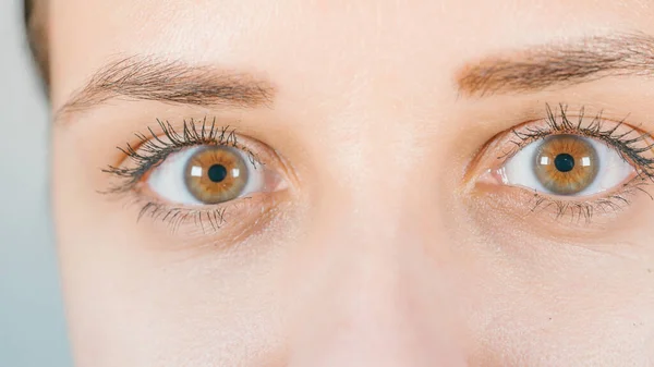 Makroaufnahme des menschlichen Auges mit Kontaktlinse. Frauenaugen aus nächster Nähe. Menschliches Auge mit langen Wimpern mit Wimperntusche. Kosmetik und Make-up. — Stockfoto