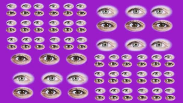 Viele Augen. Zwei Arten von weiblichen Augen. Ein Hintergrund der Augen. Die Augen öffnen sich und blinzeln. Die niedlichen Augen auf lila Hintergrund. — Stockvideo