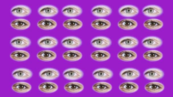 Beaucoup d'yeux. Deux types d'yeux féminins. Un fond des yeux. Les yeux s'ouvrent et clignotent. Les beaux yeux sur fond violet. — Video