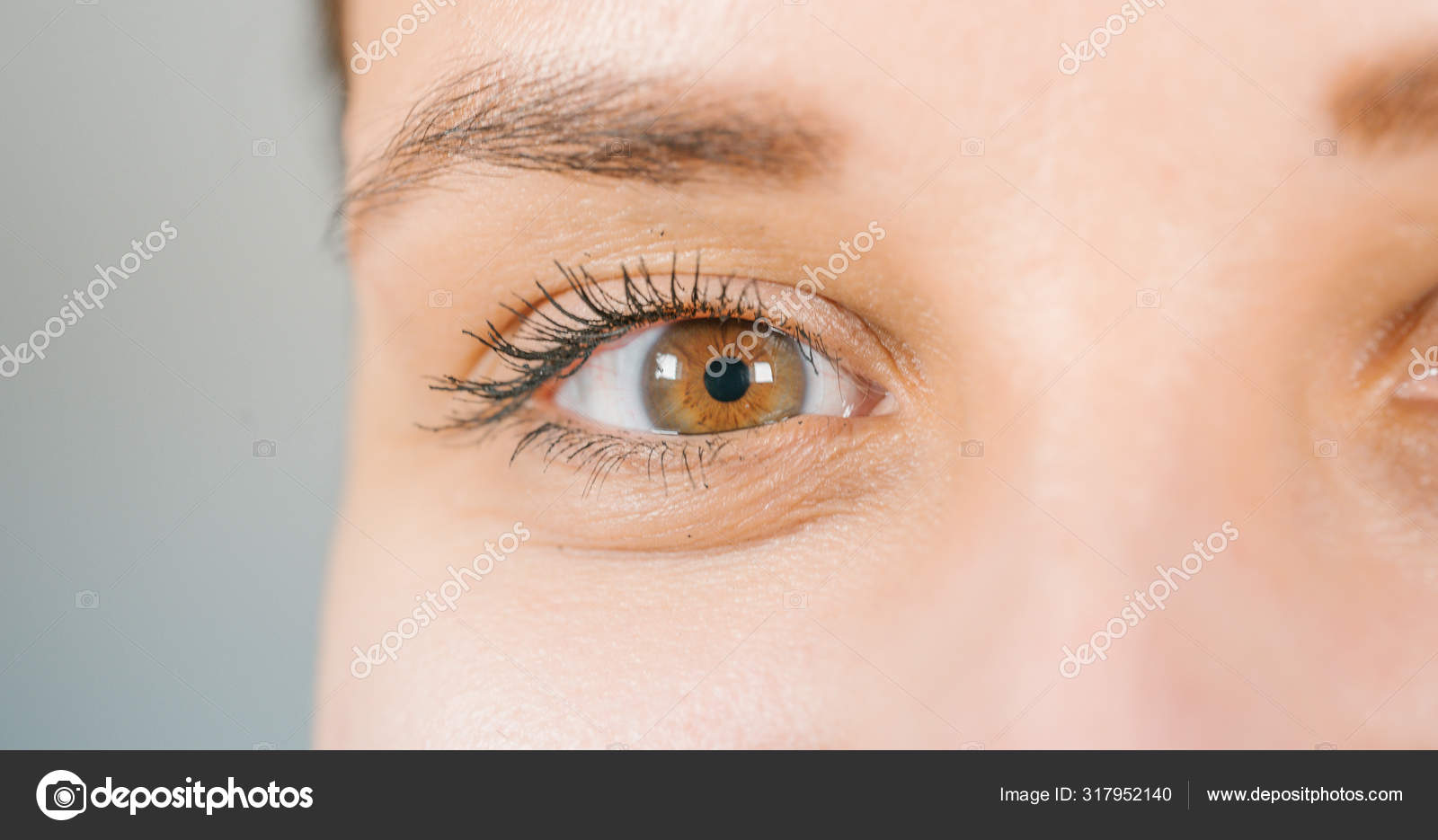 Macro En Gros Plan D'oeil De Femme Avec De Longs Cils Et