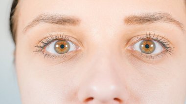 Kontak lensli insan gözünün makro görüntüsü. Kadın gözü, yakın plan. Maskara ve uzun kirpikli insan gözü. Kozmetik ve makyaj.