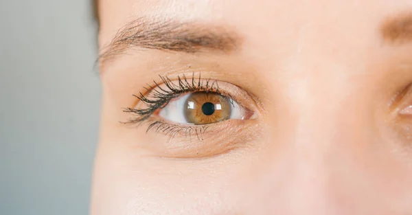 Macro beeld van het menselijk oog met contactlens. Het oog van een vrouw van dichtbij. Menselijk oog met lange wimpers met mascara. Cosmetica en make-up. — Stockfoto