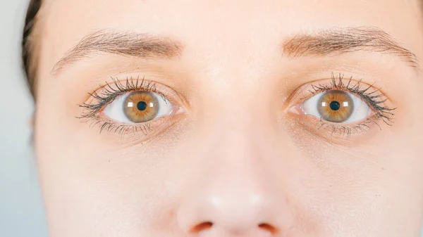 Makroaufnahme des menschlichen Auges mit Kontaktlinse. Frauenaugen aus nächster Nähe. Menschliches Auge mit langen Wimpern mit Wimperntusche. Kosmetik und Make-up. — Stockfoto