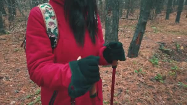 Uma jovem mulher está envolvida na caminhada nórdica na floresta. . — Vídeo de Stock