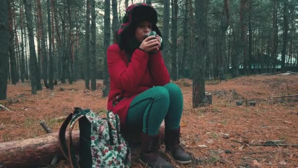 Ceketli ve kulaklıklı güzel bir kadın bir kütüğün üzerinde oturmuş ormanda soğuk bir havada çay içiyor.. — Stok video