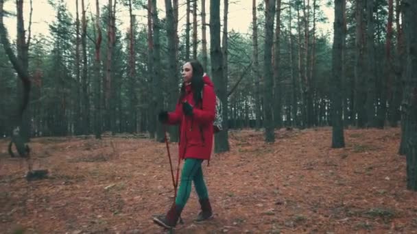 Egy csinos fiatal nő az északi erdőben sétál.. — Stock videók