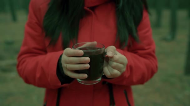 Bir kadın vücudunun portresi. Kadınların elleri bir fincan çay tutuyorlar. Genç bayan sıcak bir bardak içecekle ellerini ısıtıyor.. — Stok video