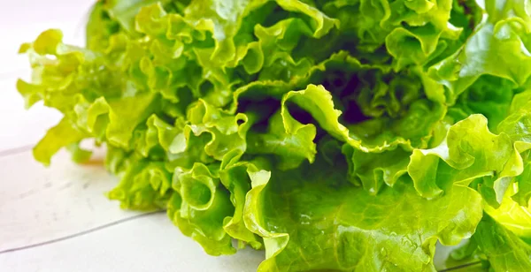 Zöld saláta a vágódeszkán. Fogalom: friss zöldségek — Stock Fotó