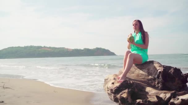 Красивая молодая женщина сидит на бревне и пьет кокосовый орех у моря или океана в яркий солнечный день . — стоковое видео