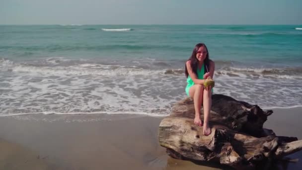 A beautiful young woman is sitting on a log and drinking the coconut by the sea or ocean in a bright sunny day. — Stock Video