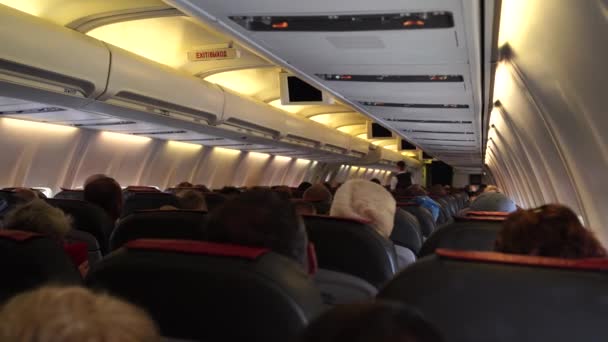 A sok ember visszapillantása a repülőn. A repülőgép belseje utasokkal, az üléseken ülve. Az utazás fogalma. — Stock videók