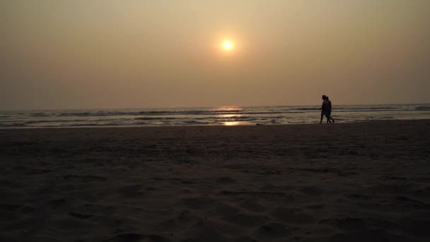 Sunset over sea and beach. Cloudless sundown sky over waving sea and sandy beach in evening on resort — 비디오