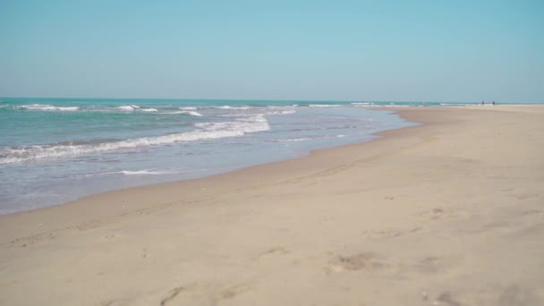 きれいな海の水がビーチに流れ — ストック動画