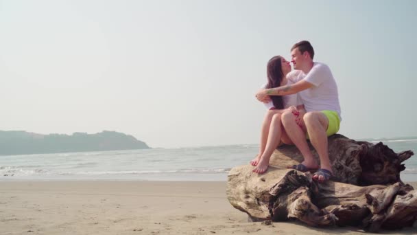 Glückliches Paar, das auf Treibholz am Meer sitzt. Liebespaar umarmt und rührt Nasen, während es auf Treibholz sitzt beim Date am Strand vor wogendem Meer und wolkenlosem Himmel — Stockvideo