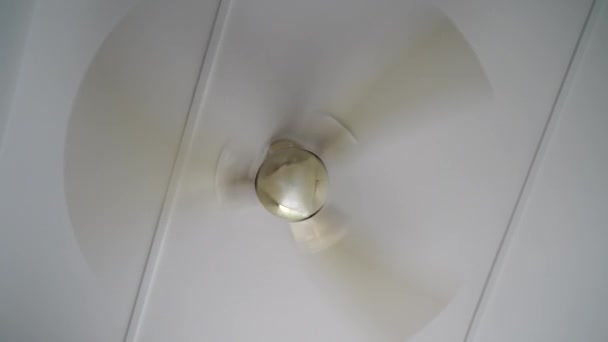 Rotação de um ventilador de teto. Um ventilador de teto doméstico típico em movimento . — Vídeo de Stock