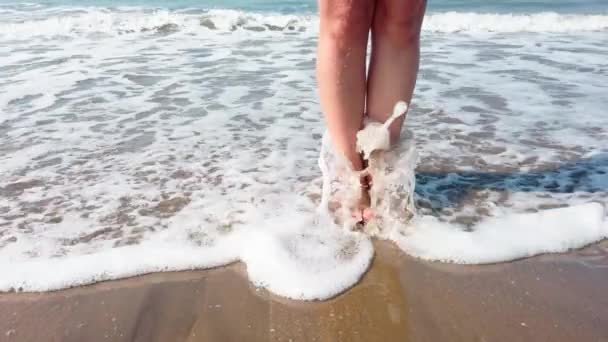 Frauenbeine Meerwasser Nahaufnahme Von Frauenbeinen Der Küste Sommer Strand Freizeit — Stockvideo