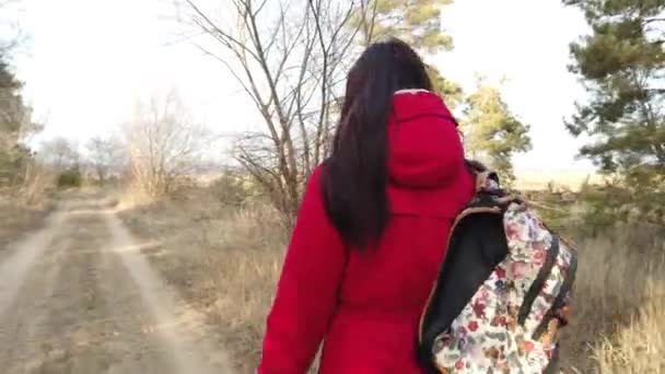 Mladá žena kráčí po pěšině. Pohled zezadu na mladou fenku s barevným batohem, jak se v jarním dni dostává na cestu krajinou — Stock video