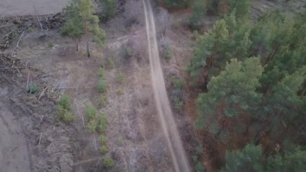 Weg Winter Met Besneeuwde Bomen Uitzicht Vanuit Lucht — Stockvideo