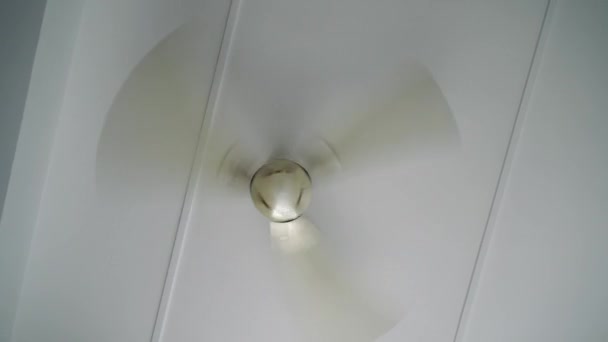 Rotación de un ventilador de techo. Un típico ventilador de techo doméstico en movimiento . — Vídeo de stock