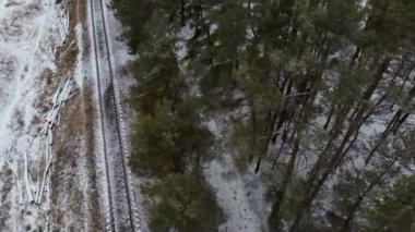 Kış ormanı demiryolu manzarası. Orman demiryolu kış karlı sahnesinde.