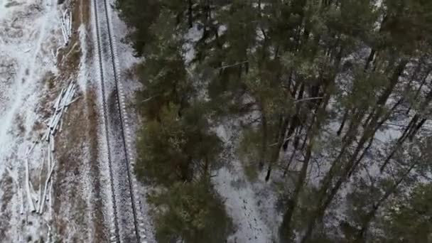 Zimní Zasněžené Lesní Železniční Krajiny Lesní Železnice Zimní Sněhové Scéně — Stock video