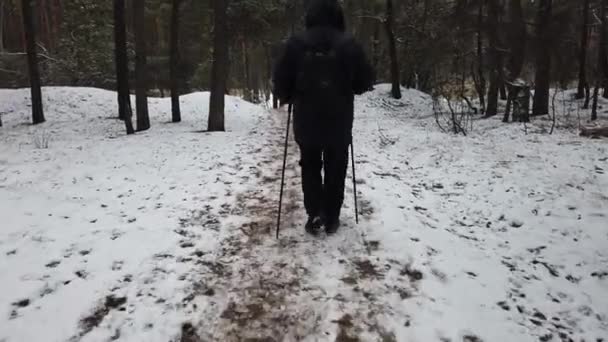2020年1月11日ロシア、ヴォロネジ:人は、ジュニパーの枝を持つバックパックで霜の多い冬の森を歩く。ノルディック・ウォーキングに従事 — ストック動画