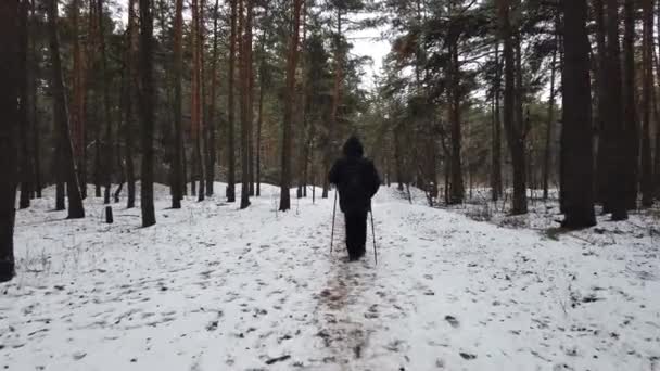 Людина йде через холодний зимовий ліс з рюкзаком з гілками ялівця. Людина займається скандинавською ходьбою — стокове відео