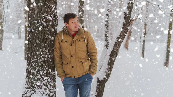 Retrato de jóvenes vestidos de chaqueta y vaqueros en temporada invernal. El hombre guapo está cerca del árbol y sonríe coquetemente. La nieve fluida lo rodea todo.. —  Fotos de Stock
