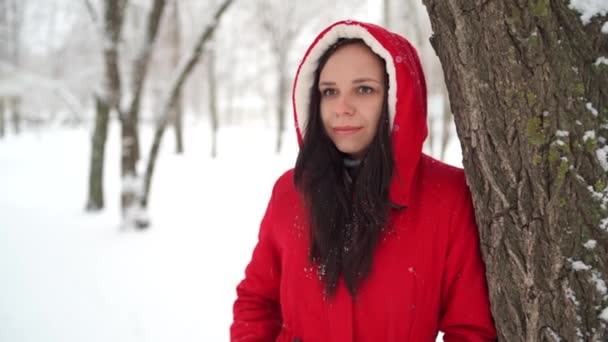 Γυναίκα Στο Πάρκο Την Ημέρα Του Χειμώνα — Αρχείο Βίντεο