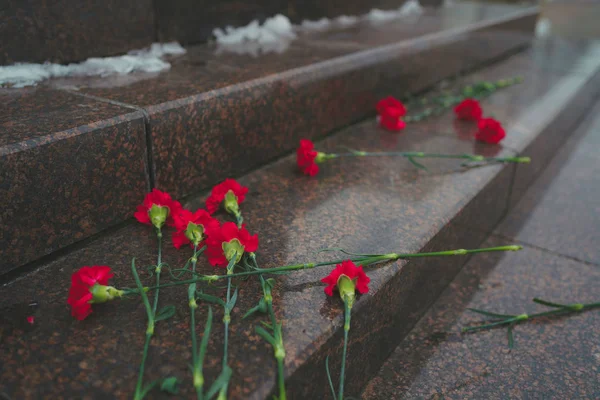 Claveles frescos en el monumento histórico. Flores en honor de la memoria y el dolor . — Foto de Stock