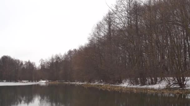 Lagoa calma no dia de inverno frio. Água tranquila do lago e costa nevada no dia cinzento frio no campo de inverno — Vídeo de Stock
