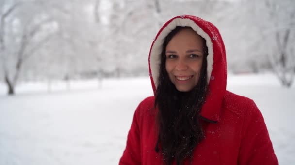 Mulher Parque Dia Inverno — Vídeo de Stock