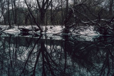 Soğuk kış gününde sakin bir gölet. Huzurlu göl suyu ve karlı sahil soğuk gri bir günde kırsal kesimde