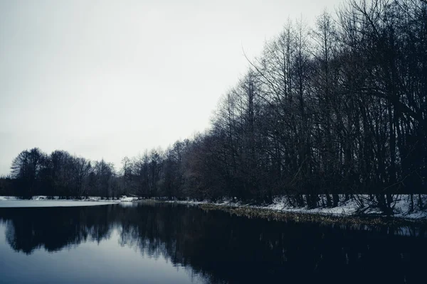 Lugn damm på kall vinterdag. Lugnt sjövatten och snöig kust på kall grå dag på vintern landsbygden — Stockfoto