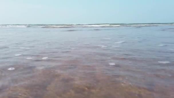 Skummande havsvågor på stranden. Skummande vågor av rent havsvatten rullar på våt sandstrand på solig dag på resort — Stockvideo