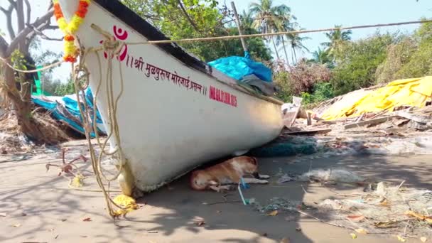 Morjim India December 2019 Empty Boat Sandy Beach Bright Day — Αρχείο Βίντεο