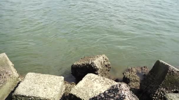 Морской поток воды вблизи скалистого берега — стоковое видео