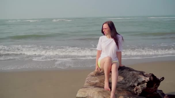 Relaxed woman sitting on log and looking away. Female tourist resting on sandy beach near waving sea. — Stock Video